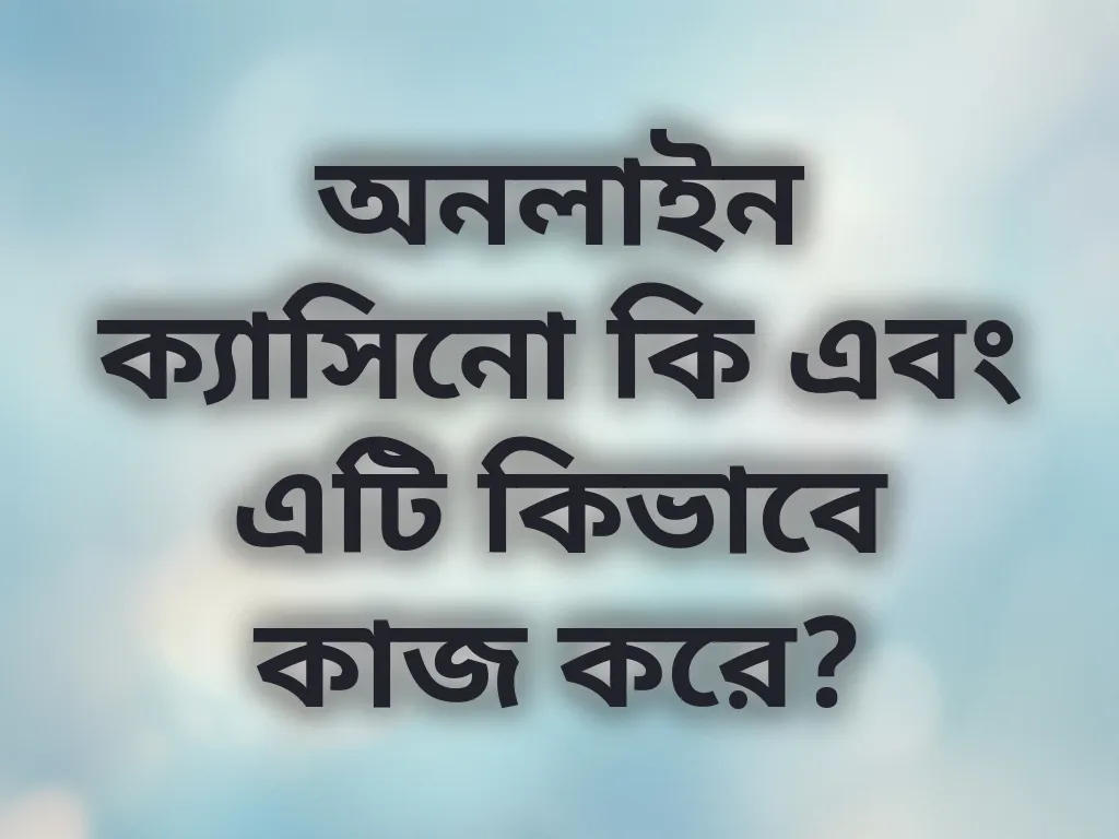 বিগিনার গাইড